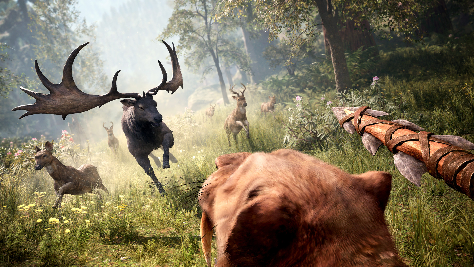 How To Download Far Cry Primal For Android